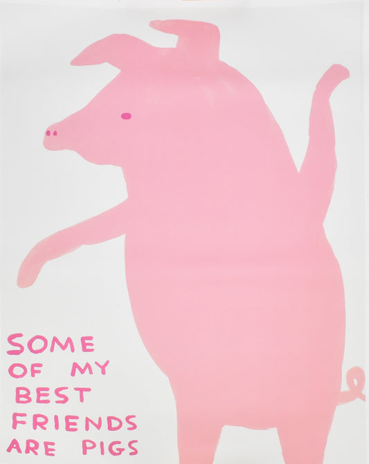 David Shrigley - Some of My Best Friends Are Pigs